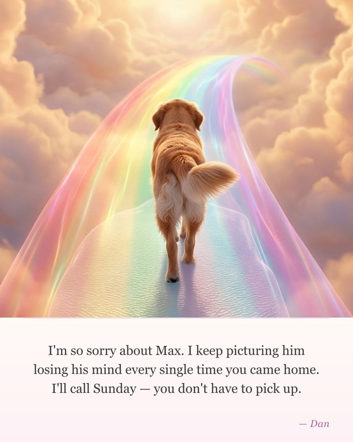 Example pet sympathy card — a dog or cat running happily in the distance, with a message underneath